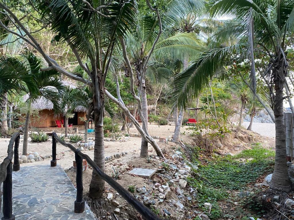 Hotel Bahia De La Luna Arroyo Cruz 外观 照片