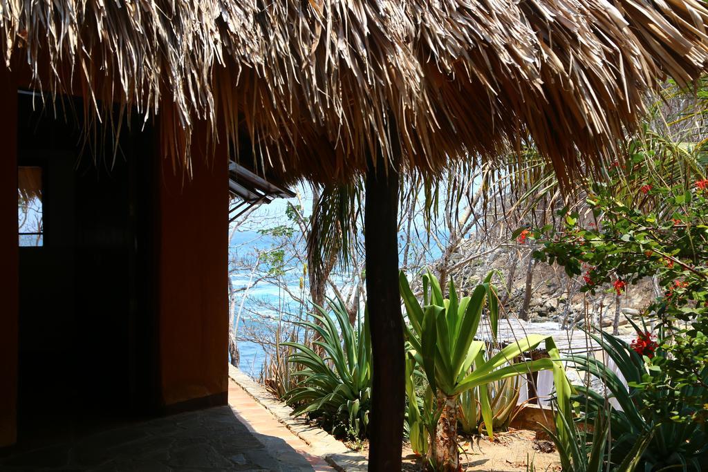 Hotel Bahia De La Luna Arroyo Cruz 外观 照片