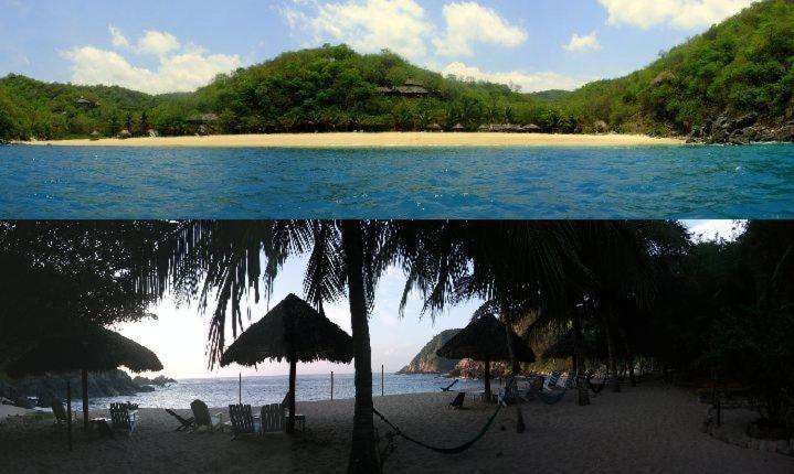 Hotel Bahia De La Luna Arroyo Cruz 外观 照片