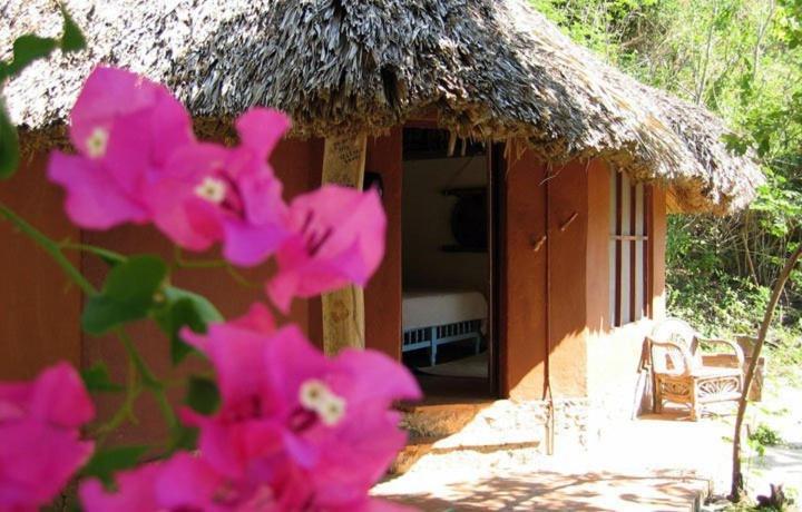 Hotel Bahia De La Luna Arroyo Cruz 外观 照片